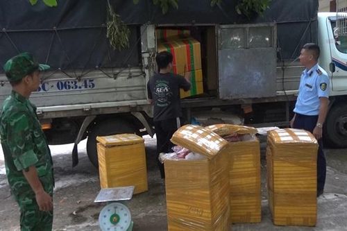 BĐBP Quảng Trị bắt giữ, xử lý gần 400kg xương, thịt lợn không rõ nguồn gốc