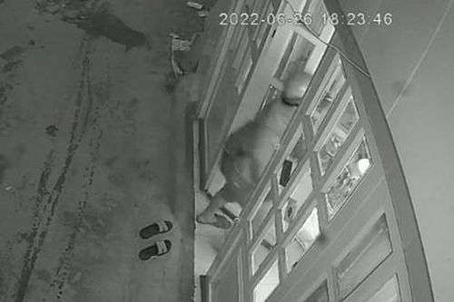 Cảnh giác với trộm đột nhập nhà vắng chủ