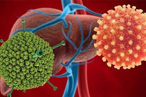 Adenovirus bị nghi liên quan tới 'viêm gan bí ẩn' có nguy cơ bùng phát thành dịch