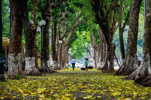 Tản mạn Thu Hà Nội