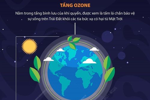 Hợp tác toàn cầu bảo vệ sự sống trên Trái Đất
