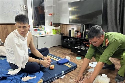 Triệt phá đường dây mua bán, tàng trữ hơn 10.000 viên ma túy tổng hợp