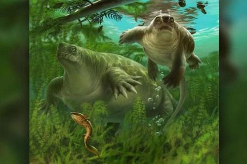 Phát hiện hài cốt động vật có vú 'lai' hà mã, thằn lằn, rùa và khủng long