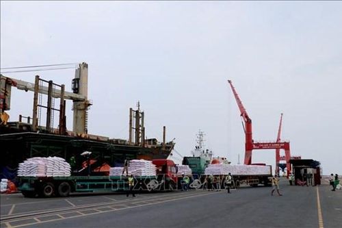 Việt Nam – Mỹ hướng tới kỷ niệm 10 năm thiết lập quan hệ đối tác toàn diện