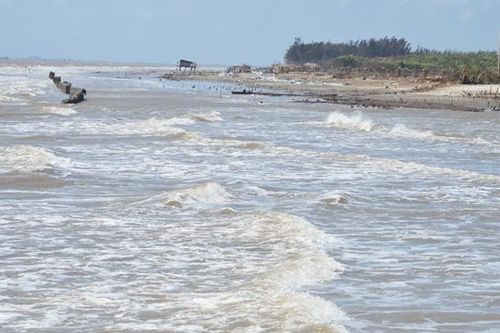 Bến Tre cần kinh phí hỗ trợ khẩn cấp chống sạt lở đê biển