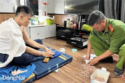 Triệt phá đường dây mua bán, tàng trữ hơn 10 ngàn viên ma túy tổng hợp