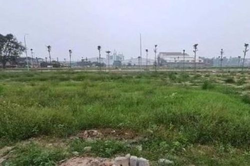 Đất đấu giá vùng ven Hà Nội có dấu hiệu hạ nhiệt