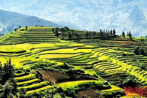 Khai hội 'Hương cốm mùa thu vàng' trên cao nguyên trắng Bắc Hà