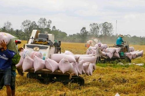 Quanh Dự thảo Luật Đất đai (sửa đổi): Làm gì để xóa bỏ manh mún, nhỏ lẻ?