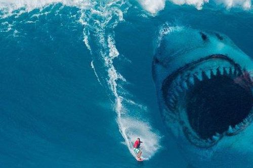 Điều gì sẽ xảy ra nếu loài cá mập Megalodon chưa bao giờ tuyệt chủng?