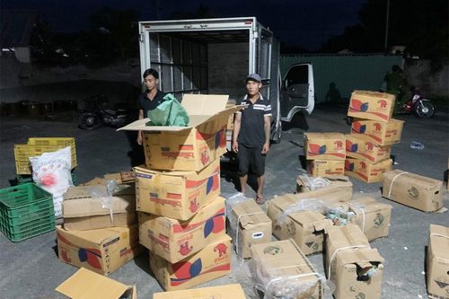 An Giang: Tạm giữ nhiều phương tiện và thuốc bảo vệ thực vật không có tên trong danh mục