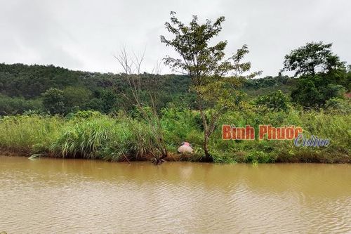 Bình Phước: Một cụ ông đuối nước tử vong ở hồ thủy điện Thác Mơ