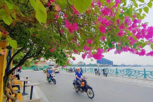 Đường Hà Nội mùa thu