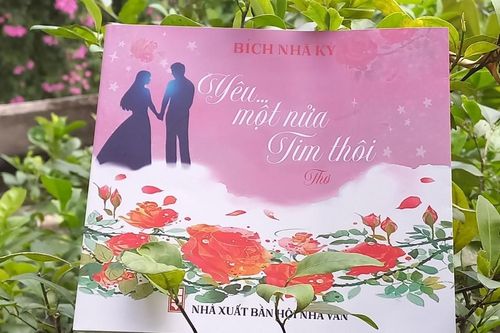 Bích Nhã Kỳ, thế chấp 'nửa trái tim'