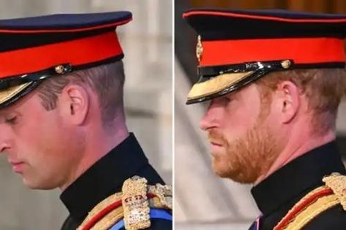Hoàng tử Harry đã được mặc quân phục, nhưng có chi tiết quan trọng nào phải thay đổi?