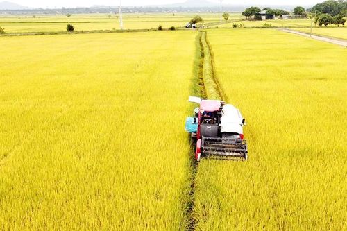 Chuyển đổi số trong nông nghiệp tại Tây Nguyên
