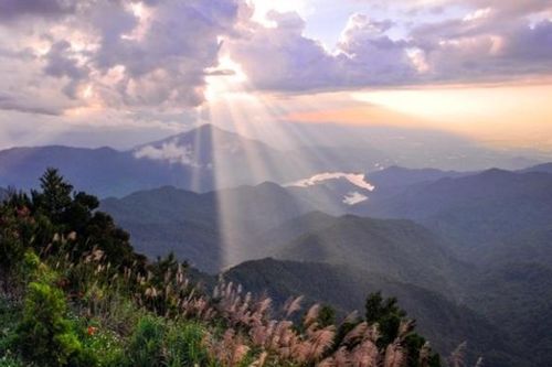 Kỳ thú Bạch Mã