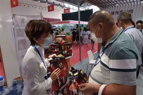 Kỷ lục thỏa thuận hợp tác được thiết lập tại Hội chợ Trung Quốc-ASEAN