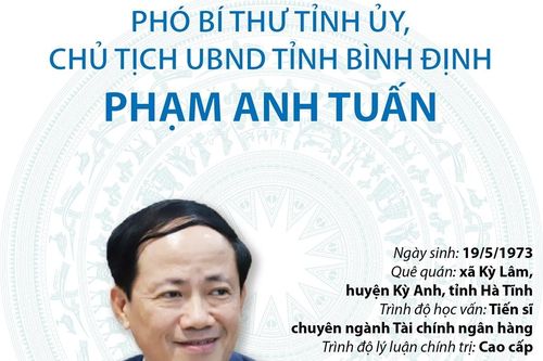 Phó Bí thư Tỉnh ủy, Chủ tịch UBND tỉnh Bình Định Phạm Anh Tuấn
