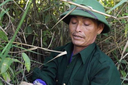 Hai vợ chồng hơn 5 năm 'cưu mang' chim trời ở Hạc Hải