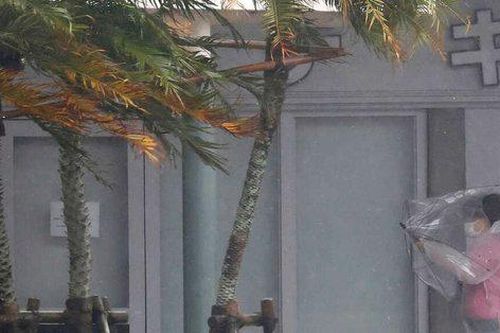Nhật Bản: Siêu bão Nanmadol khiến 43 người nhập viện, nhiều nơi bị thiệt hại