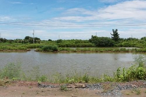 Tập bơi trong ao tôm, hai mẹ con bị đuối nước tử vong