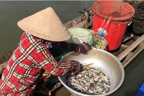 Khan hiếm sản vật mùa nước nổi