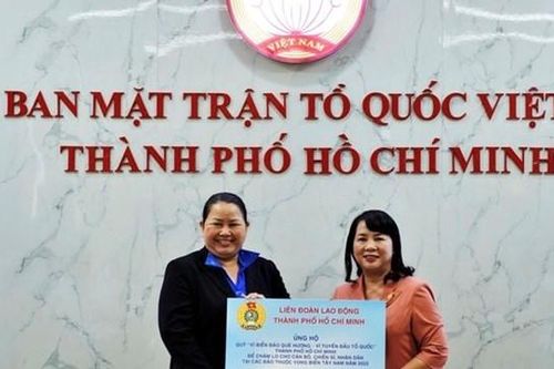 TP Hồ Chí Minh: Tiếp nhận ủng hộ quân và dân các đảo vùng biển Tây Nam bộ