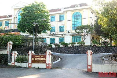 Lào Cai tạm hoãn xuất cảnh 4 giám đốc doanh nghiệp nợ thuế