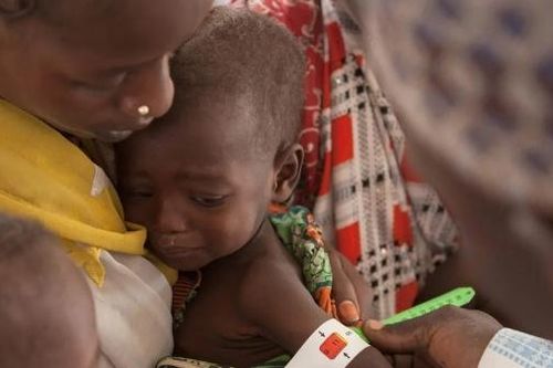 Liên hợp quốc chi 10 triệu USD cứu trợ khẩn cấp hơn 5.000 trẻ em trong 'cơn bão đói' ở Nigeria
