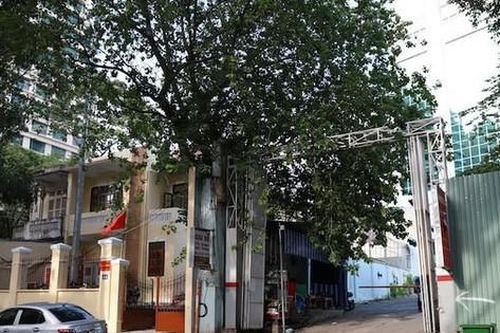 Thu hồi khu 'đất vàng' hơn 6.000 m2 ở trung tâm TPHCM