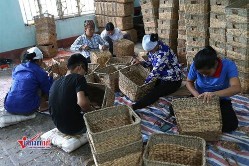Công tác dạy nghề gắn chặt với xây dựng nông thôn mới, giảm nghèo bền vững