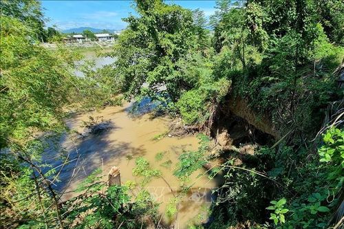 Ninh Thuận: Sạt lở bờ sông Dinh khiến hàng chục hộ dân ngày đêm lo lắng
