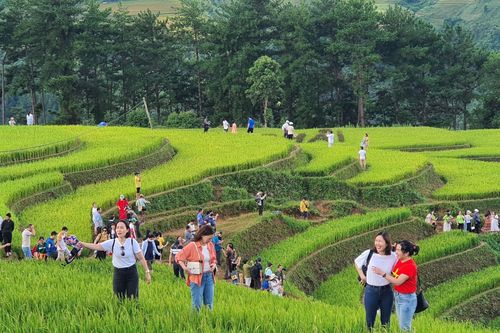 Khách tăng kéo theo dịch vụ tại các điểm du lịch nhộn nhịp trở lại