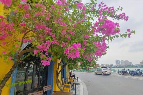 Lan man chuyện cái tên