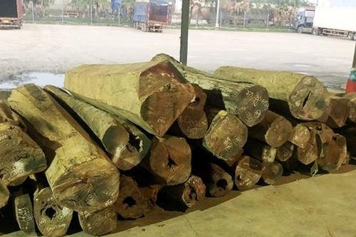 Dùng chứng từ giả để buôn lậu 28m3 gỗ quý