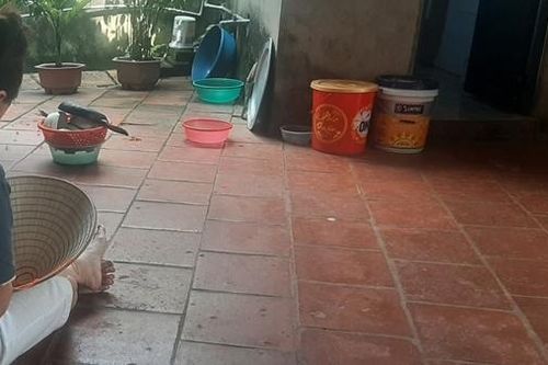 Bất ngờ gia cảnh của 'Anna Dương' Bắc Giang lừa tiền tỷ