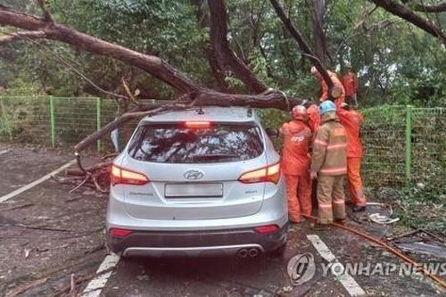 Hàn Quốc: Hàng trăm người phải sơ tán do bão Nanmadol