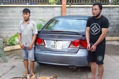 Nạn trộm chó lộng hành ở vùng ven TPHCM