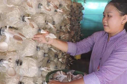 Hàng chục nghìn phụ nữ Bến Tre được hỗ trợ khởi nghiệp, khởi sự kinh doanh