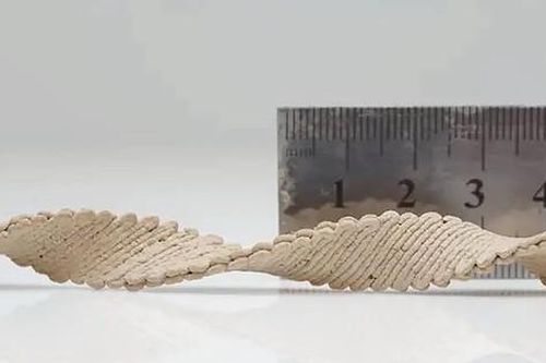 Vật liệu gỗ in 3D có thể biến hình