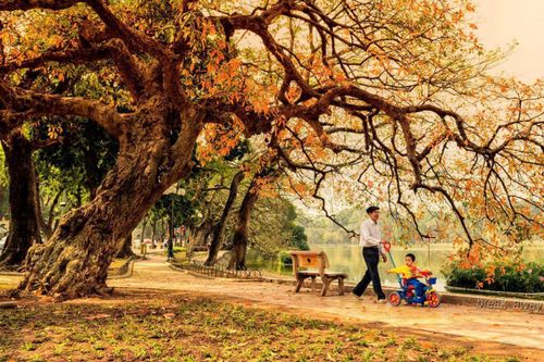 Bạn nhớ nhất điều gì về mùa thu Hà Nội