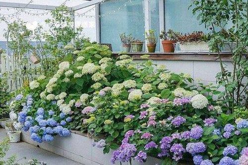 Chỉ mất 8 tháng, cô gái 9x tự mình thiết kế 'khu vườn trên cao' rộng 33m² ngập tràn sắc hoa