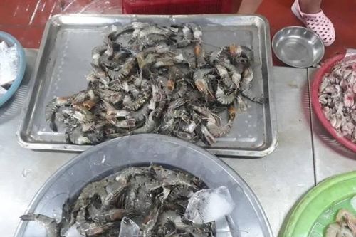 Vụ tôm chứa tạp chất lạ tại Đà Nẵng: Xác định là bột Agar