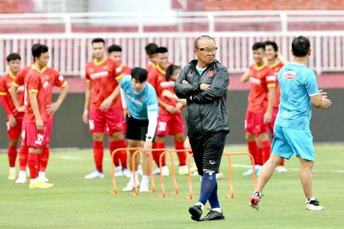 HLV Park lần đầu gặp Sư tử biển