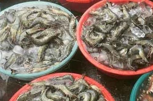 Phát hiện tạp chất Agar trong mẫu tôm tươi bán ở chợ Nại Hiên Đông, Đà Nẵng