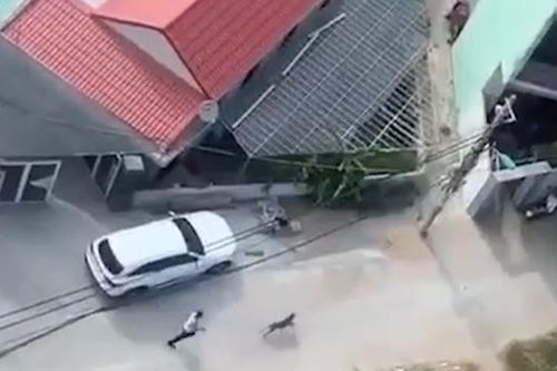 Thông tin mới nhất vụ thả chó Pitpull cắn hàng xóm để trả thù ở Đà Nẵng