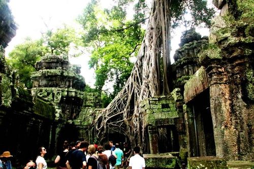 Trở lại Angkor Wat