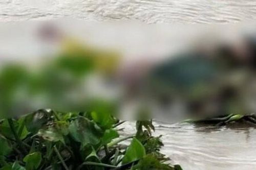 Bạc Liêu: Phát hiện thi thể nổi trên kênh