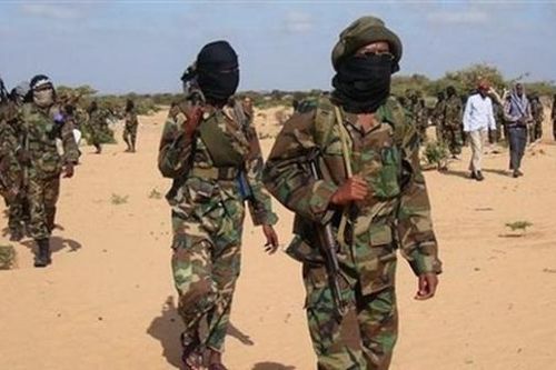Mỹ không kích tiêu diệt 27 tay súng Al-Shabaab ở Somalia